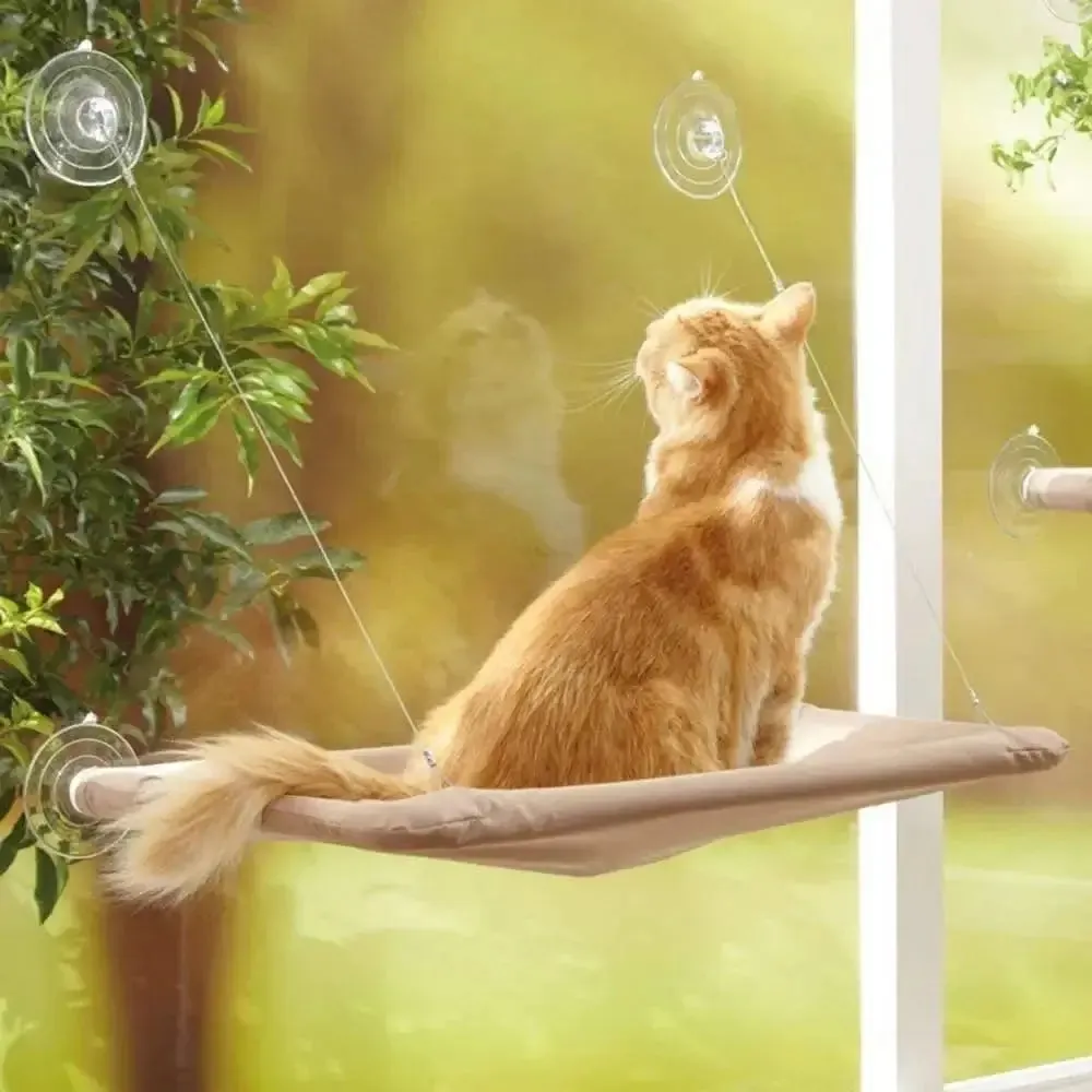 Hangout Cat Hammock