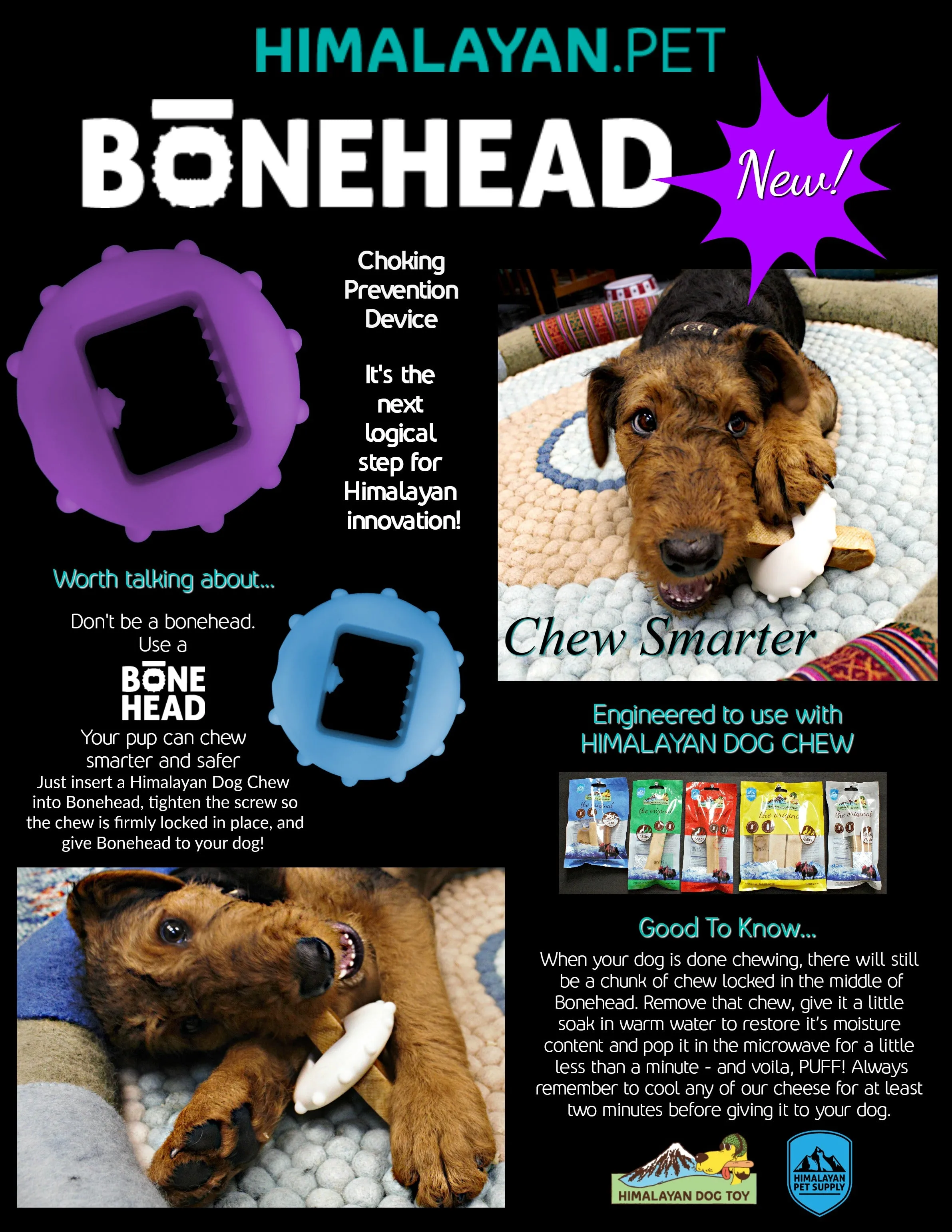 Himalayan Bone Head - Small