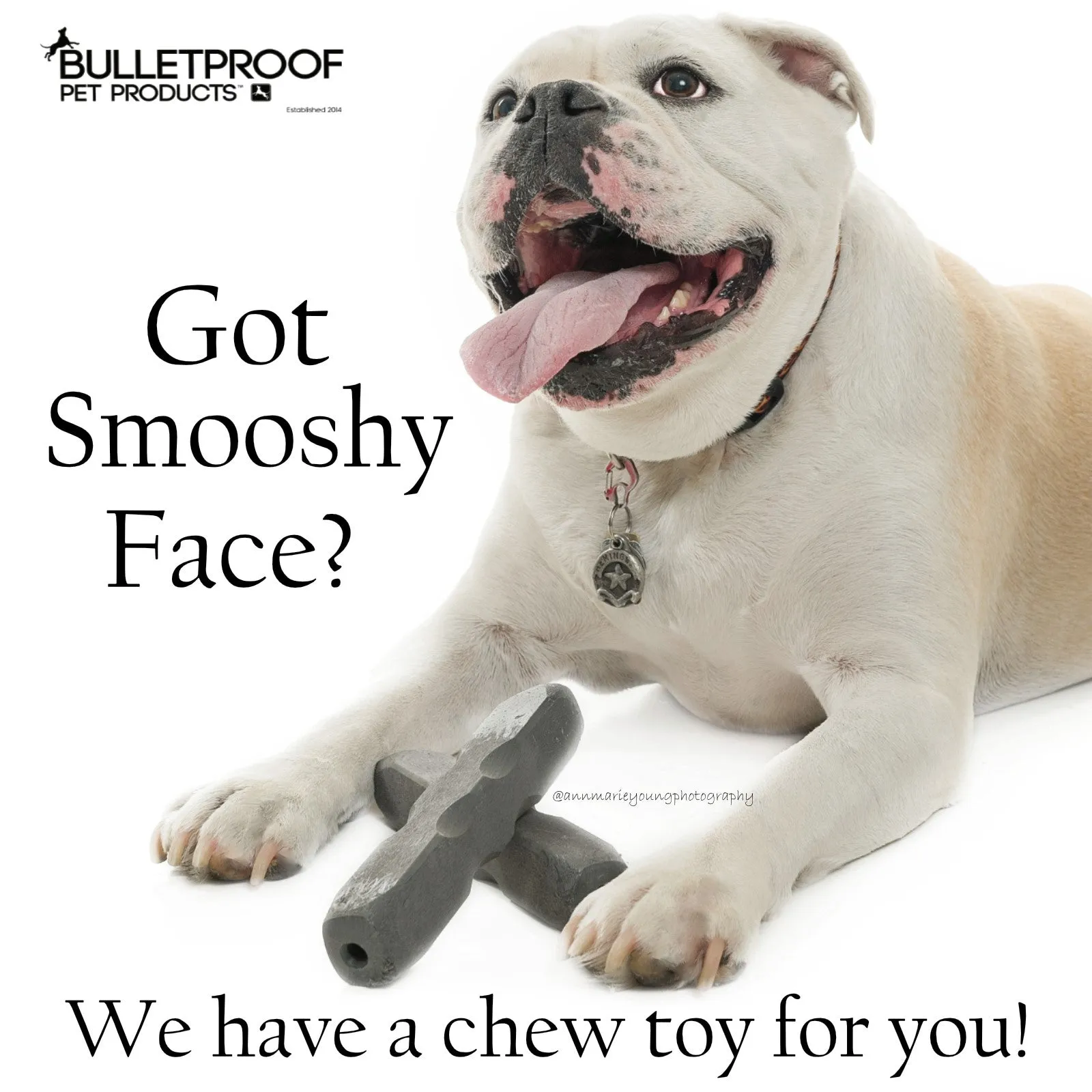 Indestructibone Professional Grade Smooshy Face 3 Pack - For dogs 40-80 lbs.