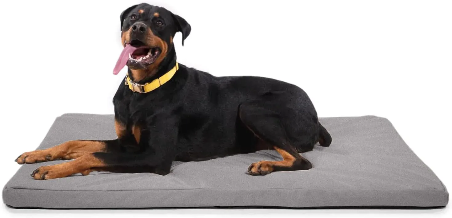 K9 Ballistics Tough Rip-Stop Orthopedic Dog Bed - Durable, Removable, Washable Cover, Kennel Pad Fits in Crate, X-Large 47"x29", Light Gray Velvet