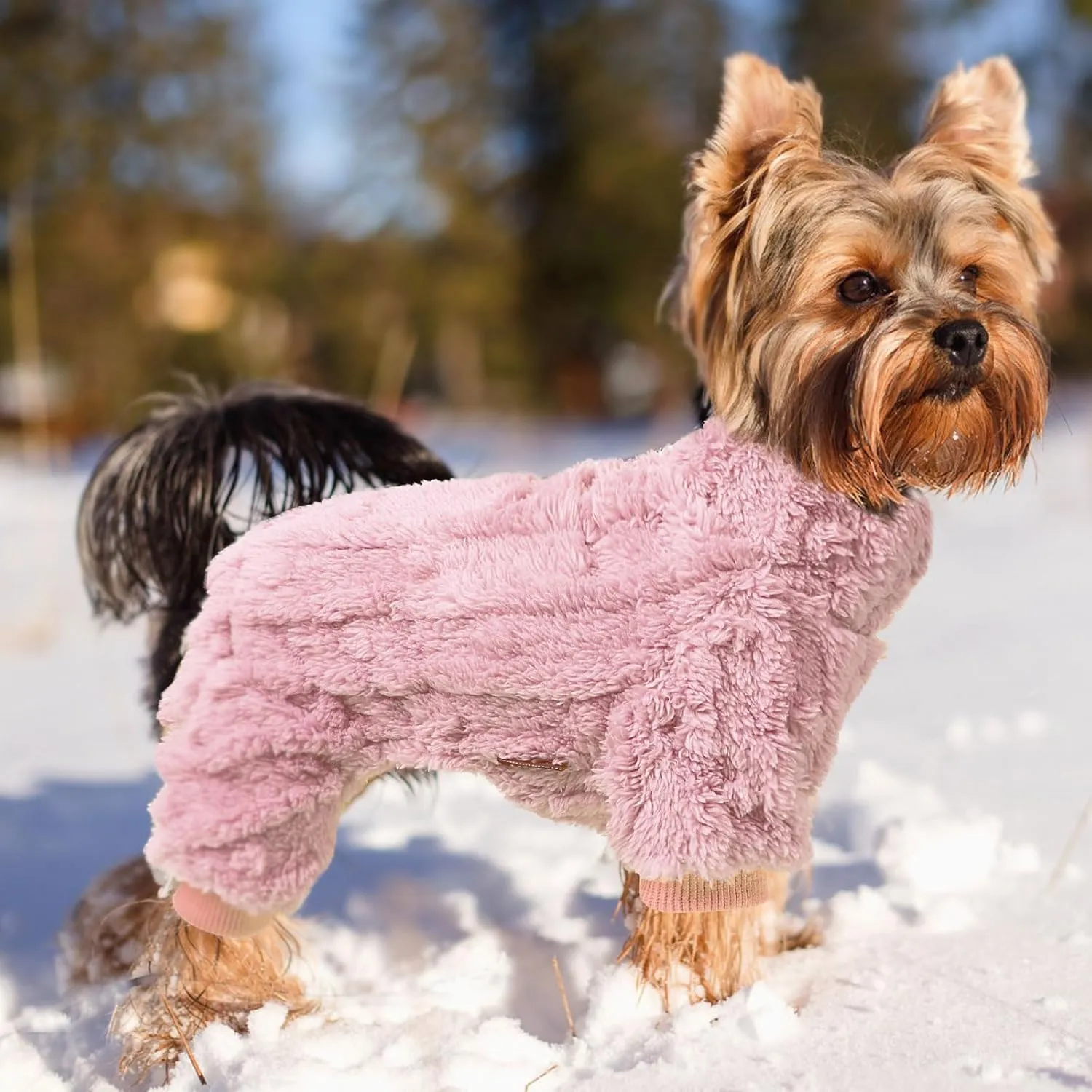 Kosiyi Dog Sweaters for Small Dogs Girl Boy Valentine's Day Dog Clothes, Dog Sweater Spring Winter Turtleneck Pullover Chihuahua Thick Warm Dog Pajamas, Cold Weather Fleece Outfit, Puppy Pjs, Onesies