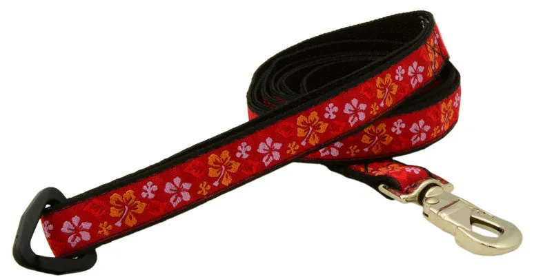 Leash - 6ft Long - 3/4" Wide