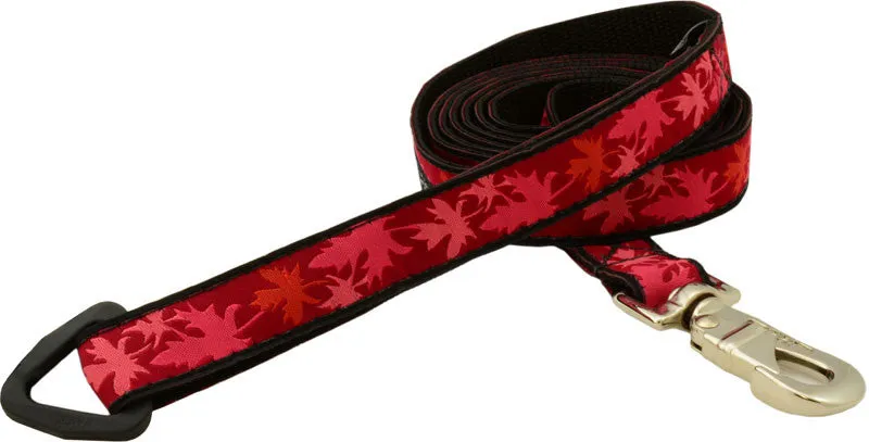 Leash - 6ft Long - 3/4" Wide