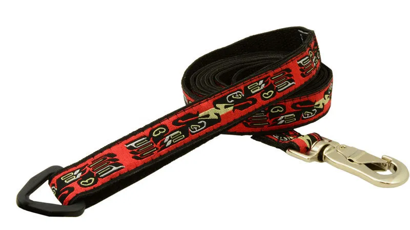 Leash - 6ft Long - 3/4" Wide
