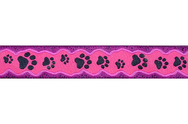 Leash - 6ft Long - 3/4" Wide