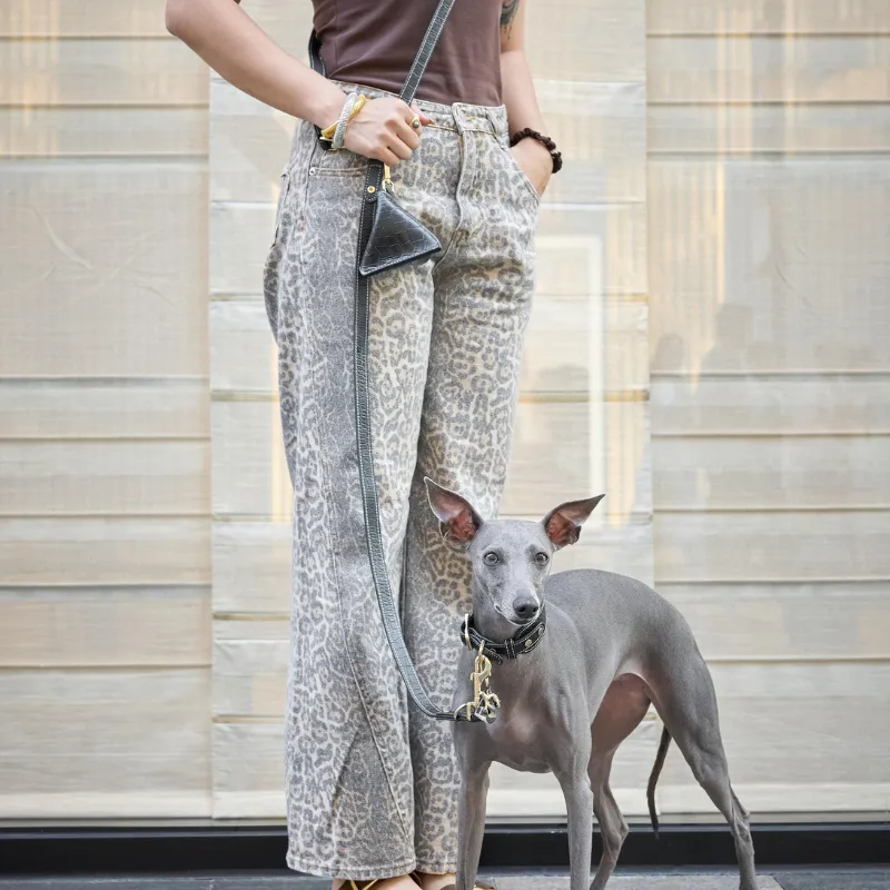 Obsidian Hands-Free Dog Leash