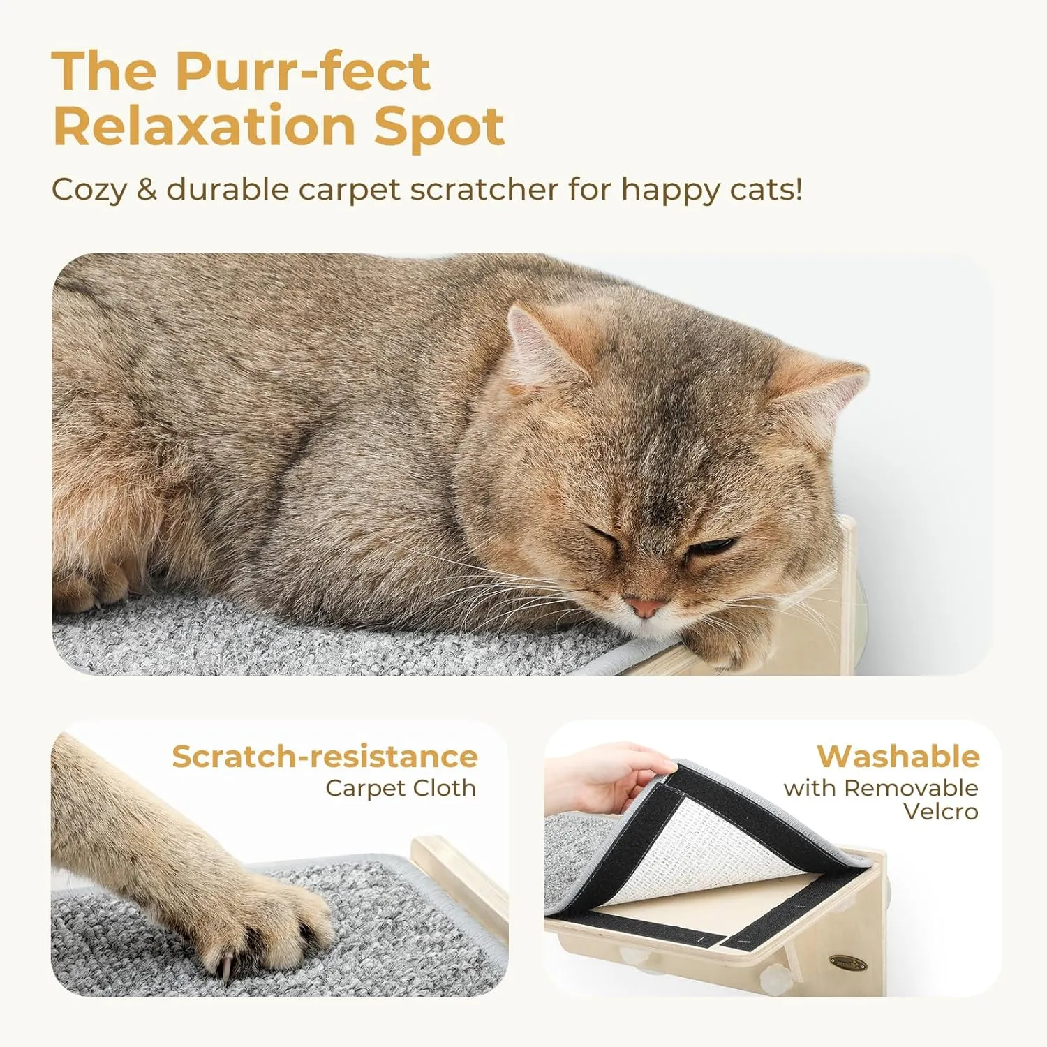 Pecute 2-in-1 Cat Window Perch & Wall Shelves - Sturdy Solid Wood Frame, 4 Large Rotating Suction Cups, Washable Carpet Cloth Cover, Space-Saving Indoor Cat Hammock Bed for Large Cats & Kittens