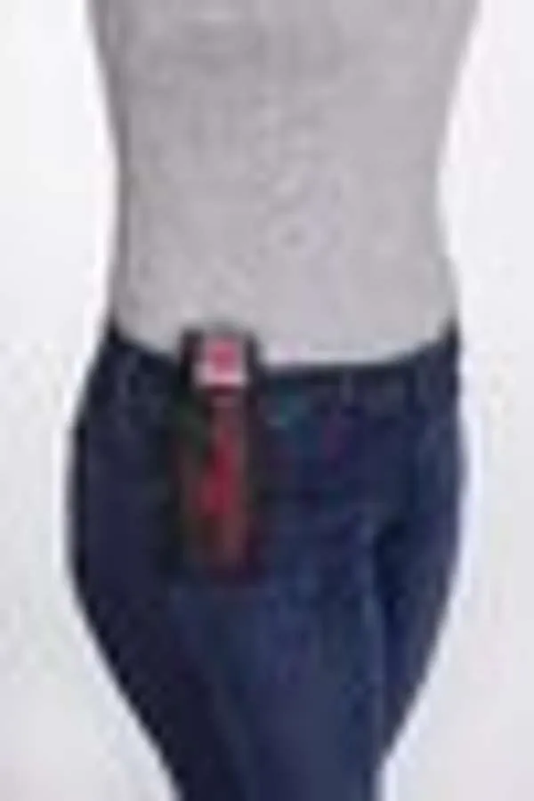 Pet Corrector Holster