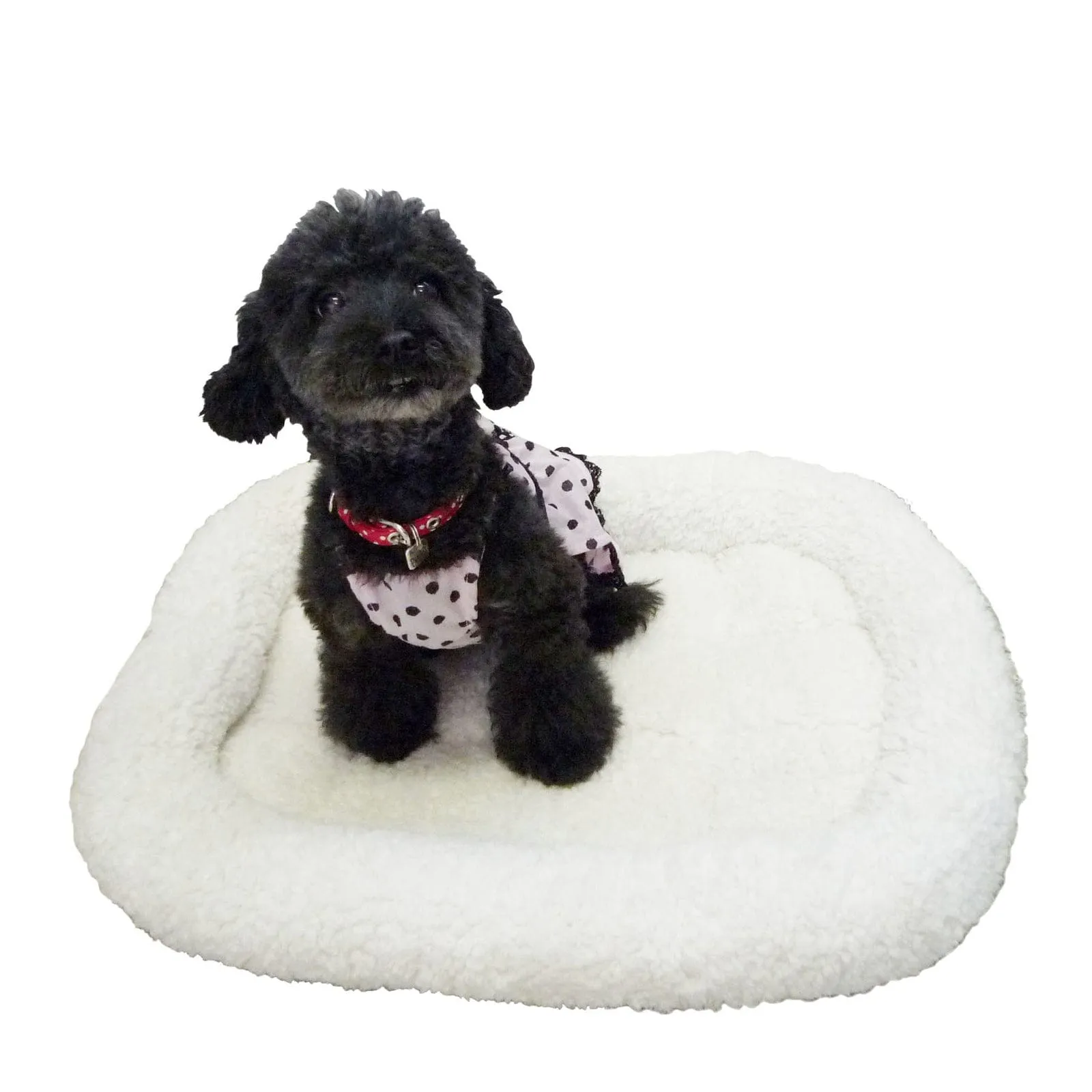 Pet Pro - Japan My Fluffy Pet Bed Size S (White)