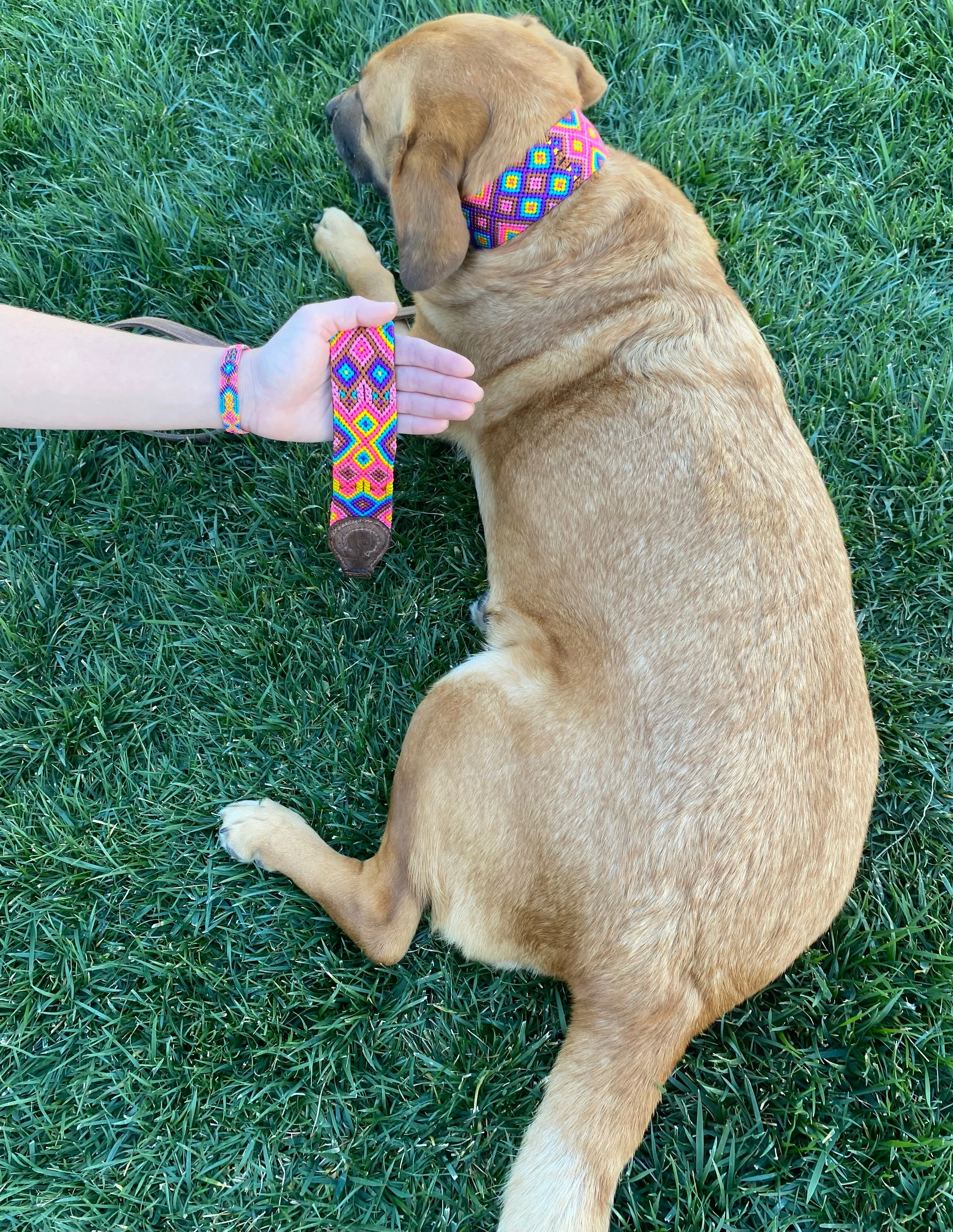 Pulga Leash