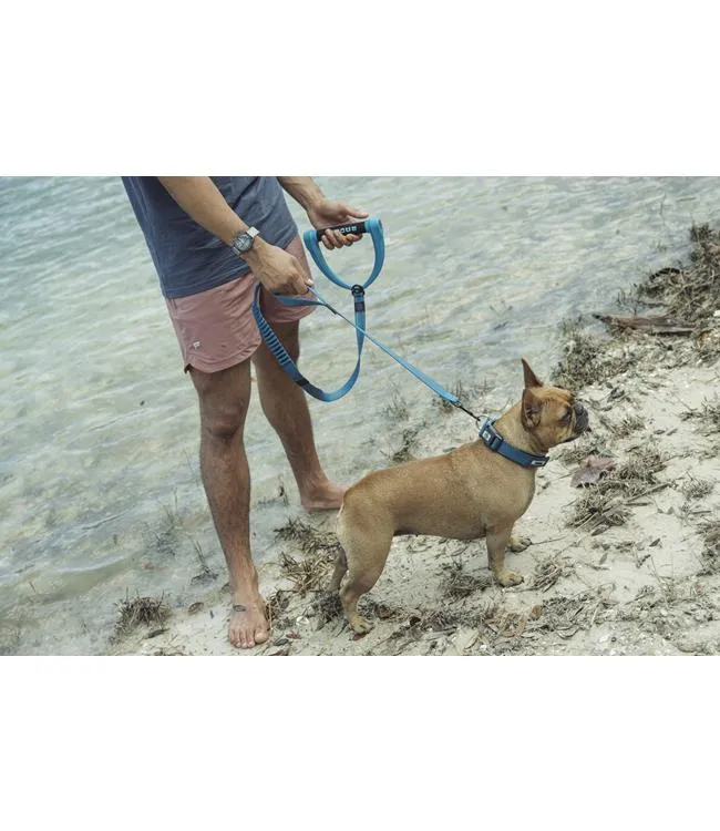 Radar Dog Leash (2025)