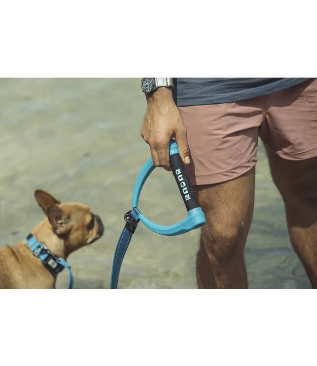 Radar Dog Leash (2025)
