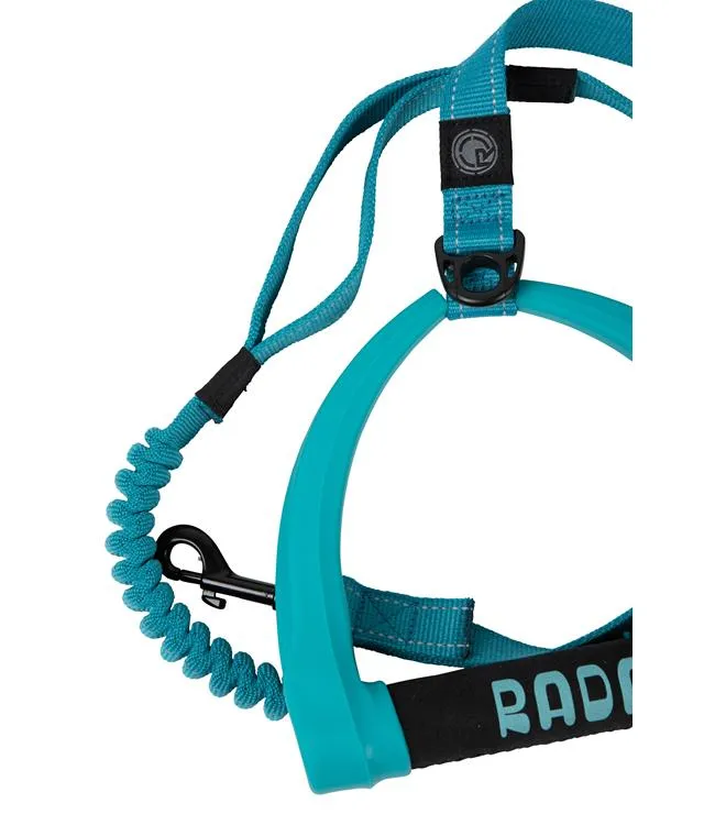 Radar Dog Leash (2025)