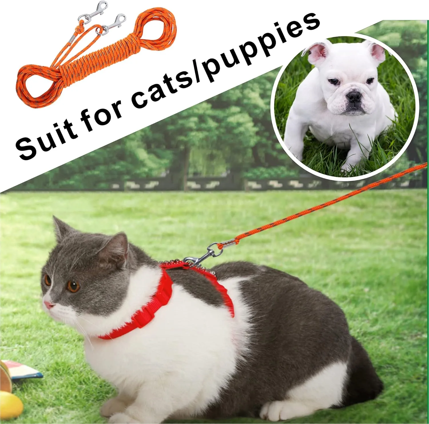 Reflective Cat Leash -30FT Cat Cable Out Escape Proof Walking Leads Yard Long Durable Safe Personalized Extender Leash Traning Play Outdoor for Puppies/Kittens/Rabbits/Small Animals
