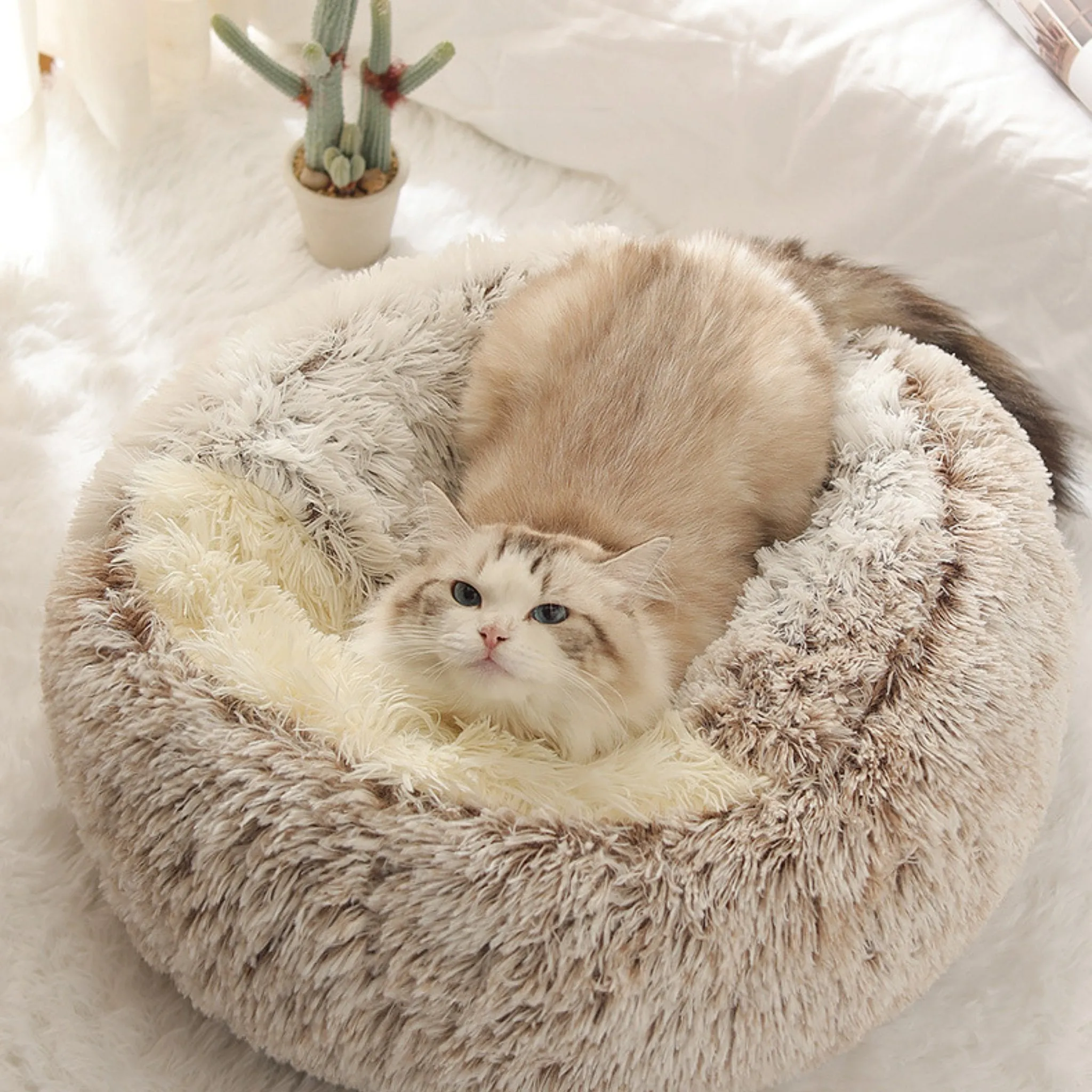 Soft Plush Pet Cave Bed for Small Cats & Dogs