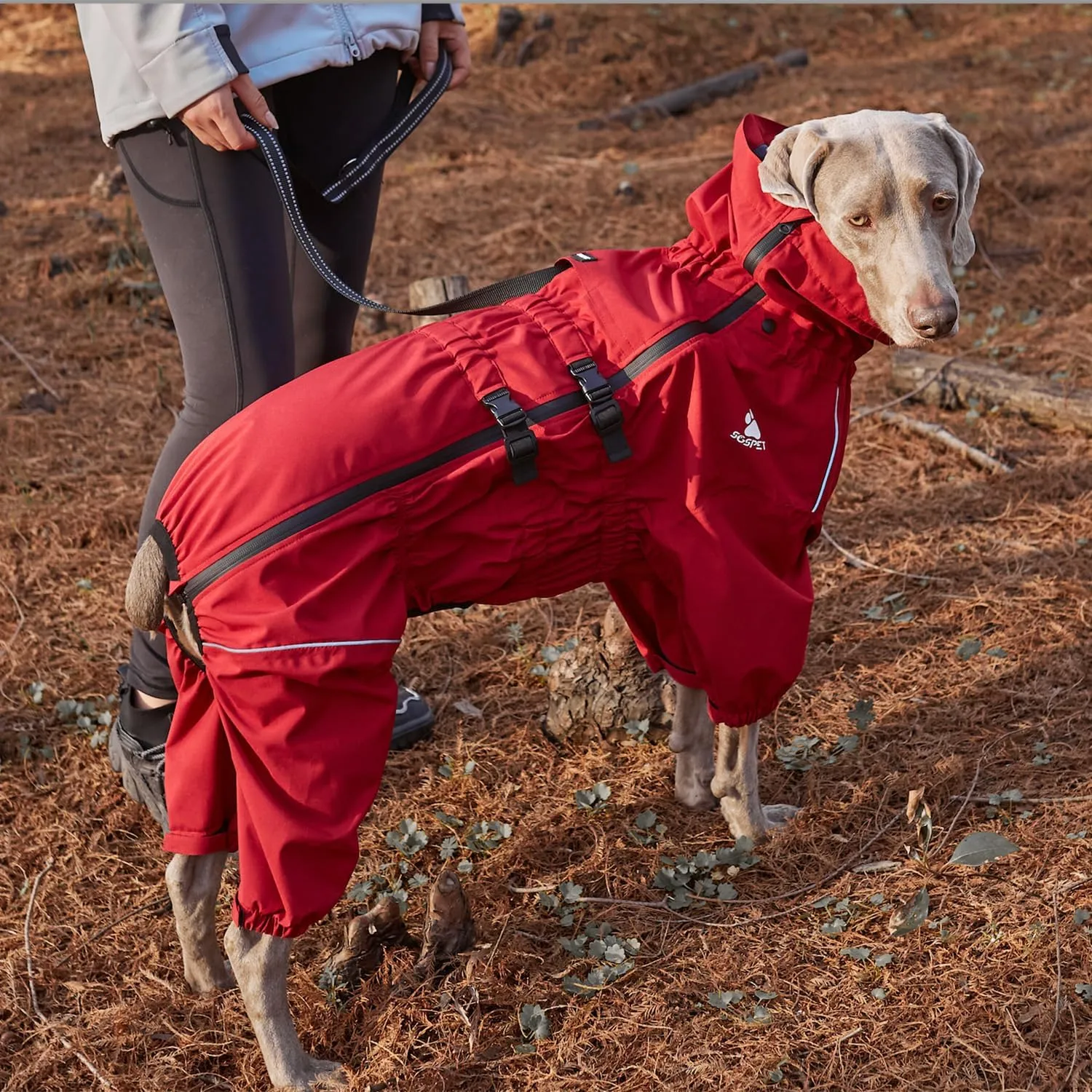 Waterproof Pet Raincoat, 4 Legs Design with Leash Hole and Reflective Strips, Lightweight Poncho for Small to Medium Dogs, Puppy Rain Jacket (Red, 3XL)